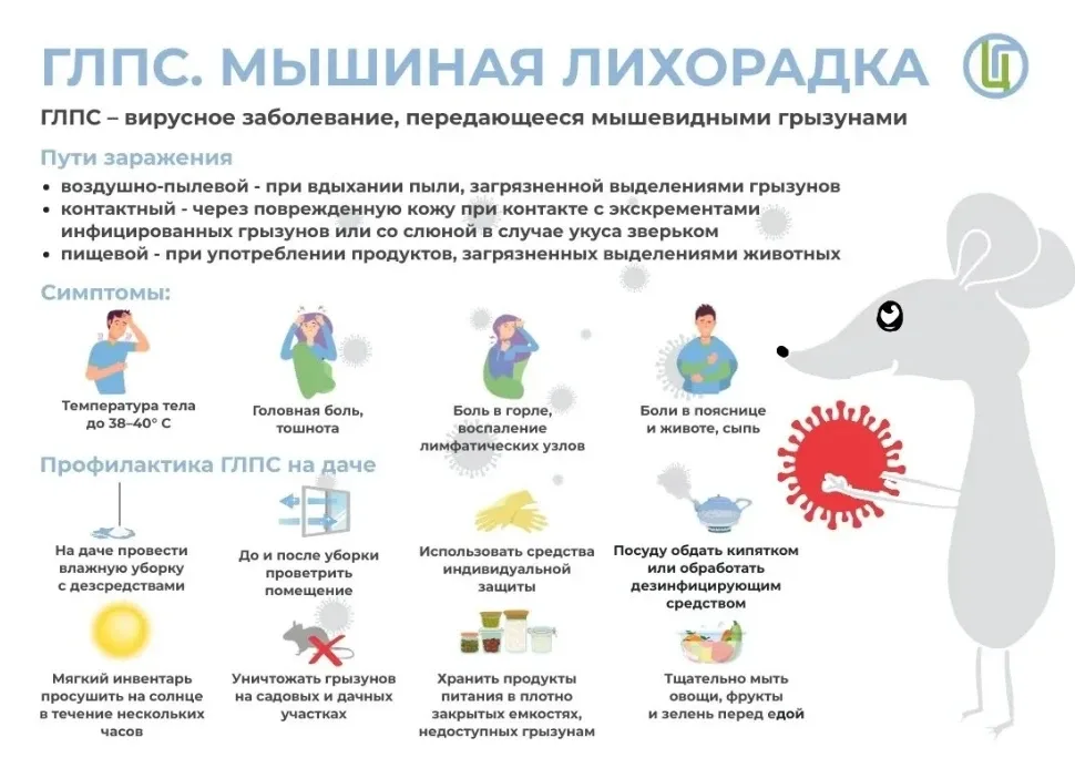 Саратовцам напомнили о мерах профилактики ГЛПС   Дачный сезон набирает обороты, а вместе с ним прихо