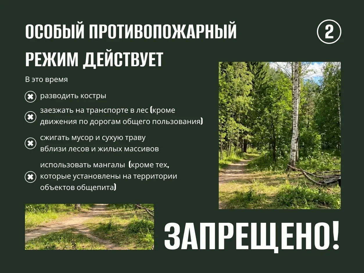 С 15 мая в Саратовской области будет действовать особый противопожарный режим.  Какие ограничения вв