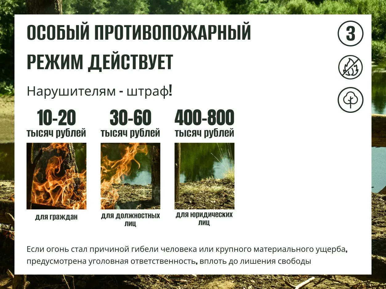С 15 мая в Саратовской области будет действовать особый противопожарный режим.  Какие ограничения вв