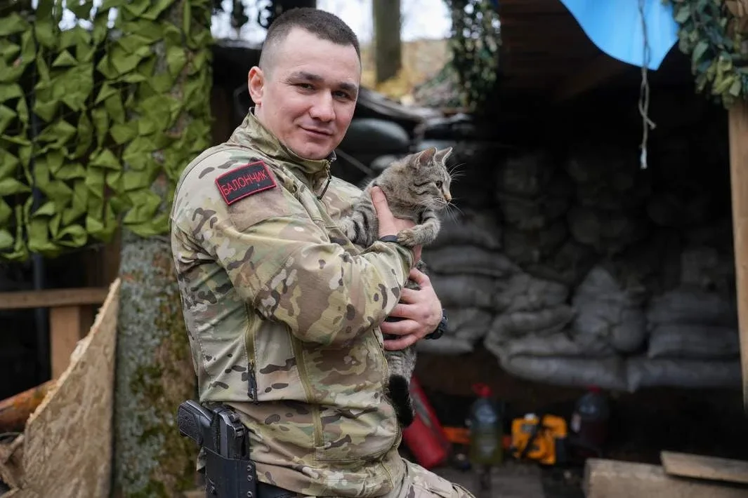 С начала Специальной военной операции, по данным открытых указов президента РФ, звания Героя России 