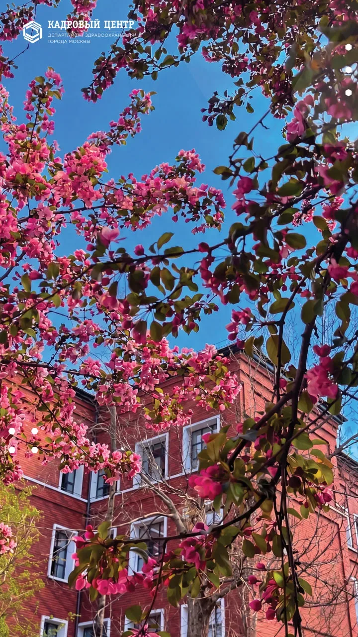 Тот самый май, которого мы ждали 🌸  Во дворе Кадрового центра всё расцвело. Пройти мимо такой красот