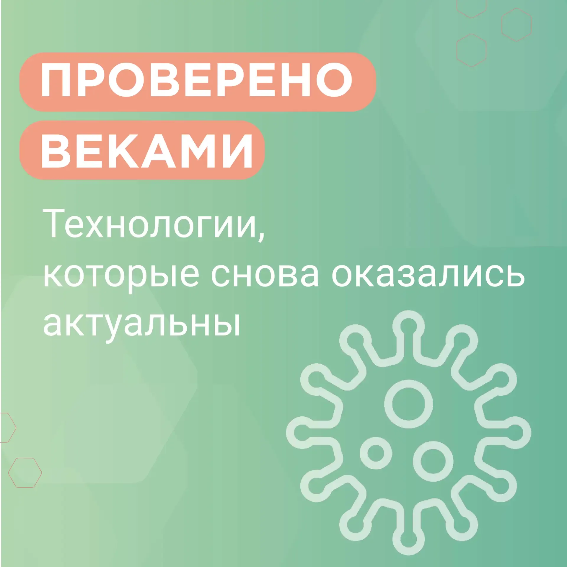 🧂 Что общего у квашеной капусты, мёда и современной микробиологии?  Методы, которыми люди пользовали