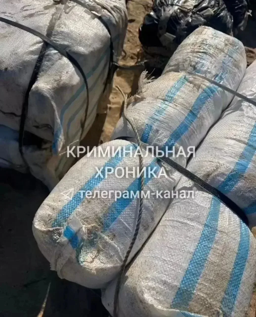 Через Каспийское море в Дагестан пытались провезти 526 кг наркотиков 💊    Семерым подозреваемым гроз