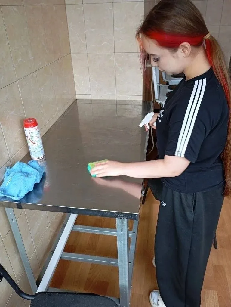 🧹 Чистота – залог уюта   В Колледже РОСБИОТЕХ студенты не только учатся, но и создают уют своими рук