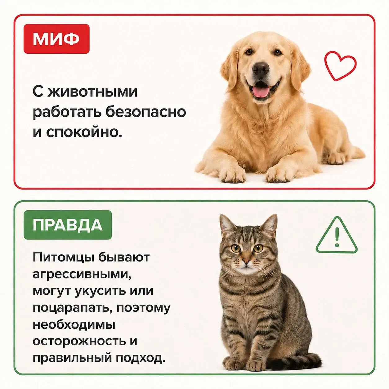📚 Миф или правда?!   Студентка 2 курса направления Ветеринария Елизавета Логунова поделилась с нами 