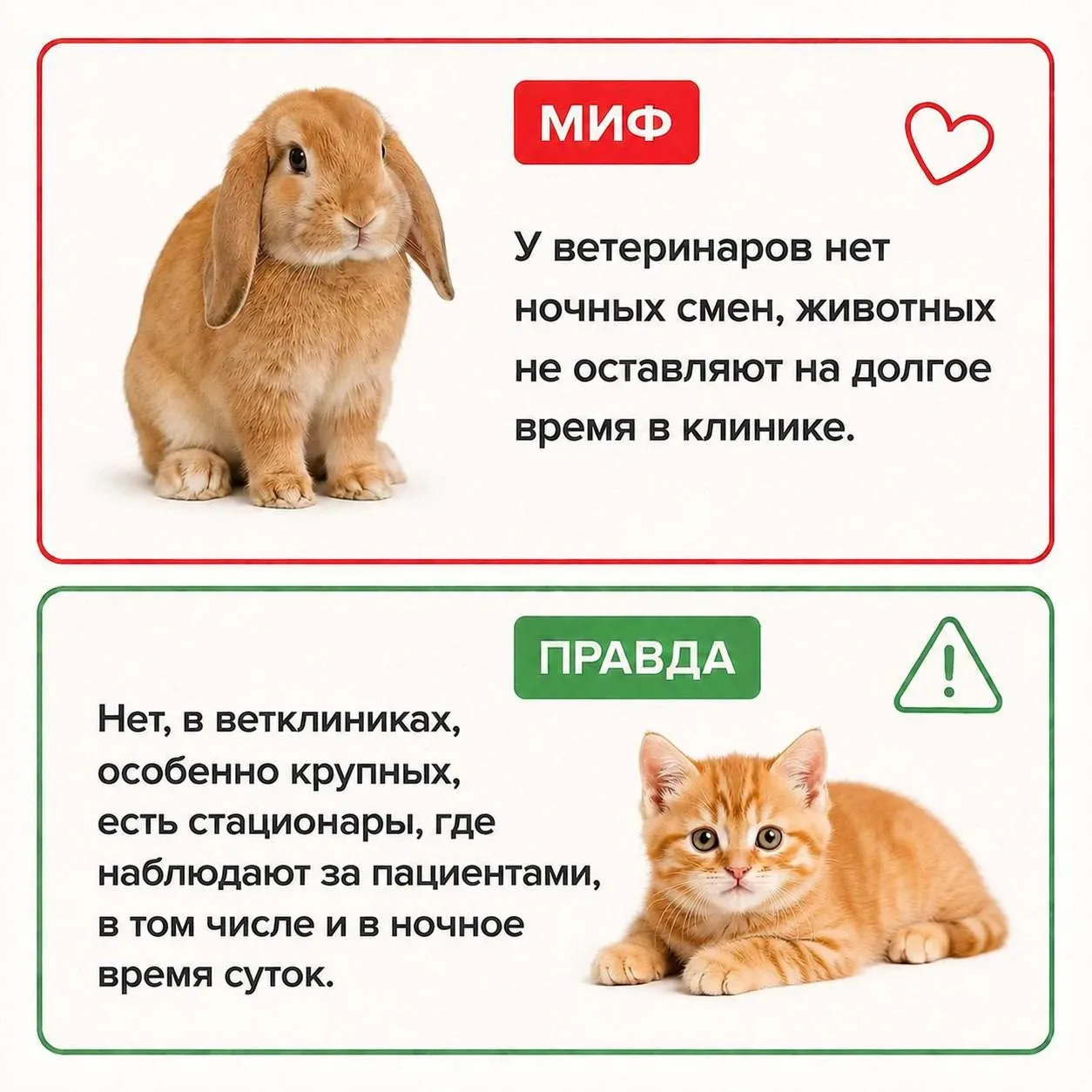 📚 Миф или правда?!   Студентка 2 курса направления Ветеринария Елизавета Логунова поделилась с нами 
