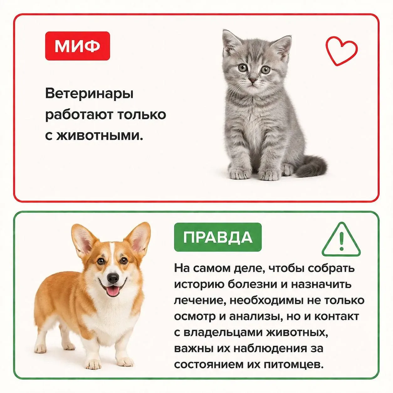 📚 Миф или правда?!   Студентка 2 курса направления Ветеринария Елизавета Логунова поделилась с нами 