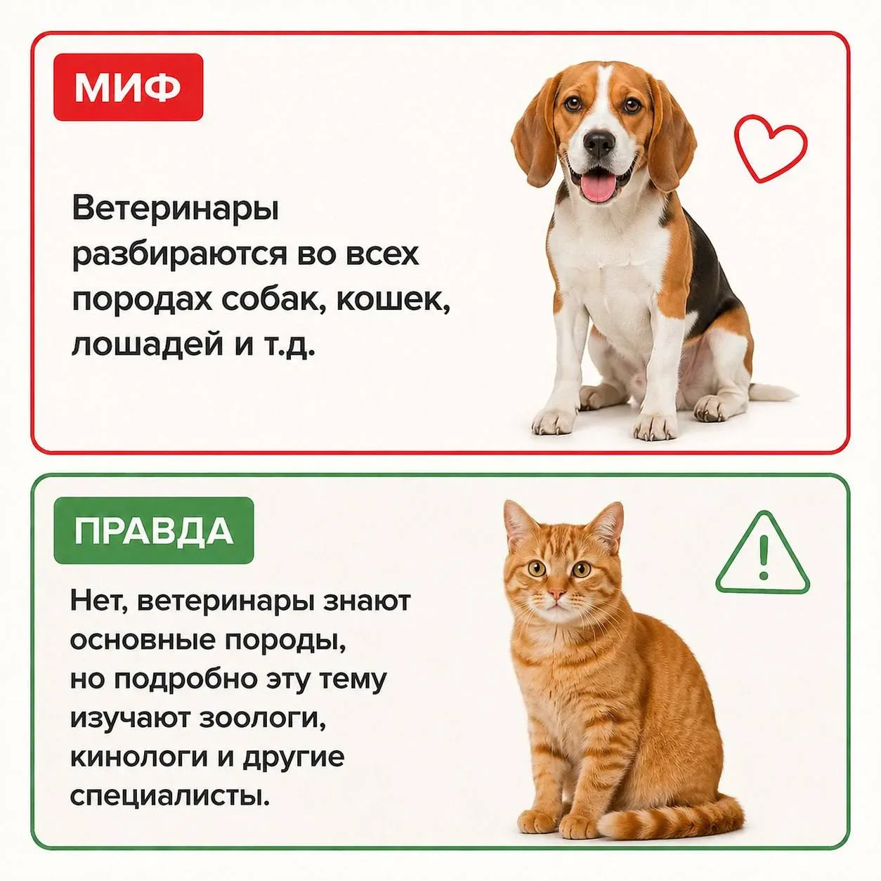 📚 Миф или правда?!   Студентка 2 курса направления Ветеринария Елизавета Логунова поделилась с нами 