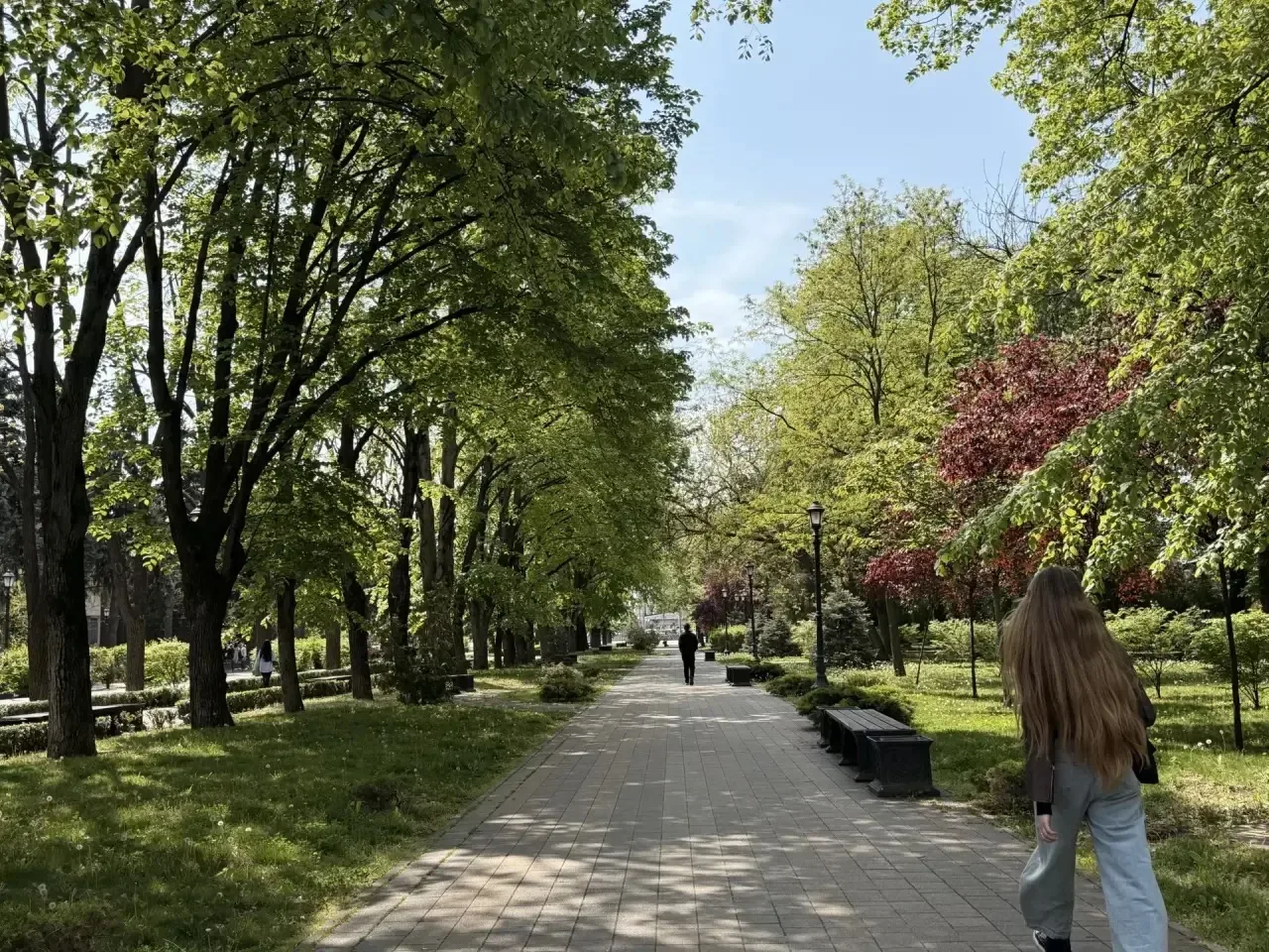 Красивый весенний Краснодар 🌳 ♥️