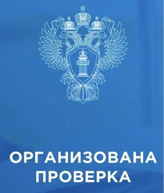 ❗️Прокуратура г.Нижневартовска  организовала проверку по факту нападения безнадзорной собаки на ребе