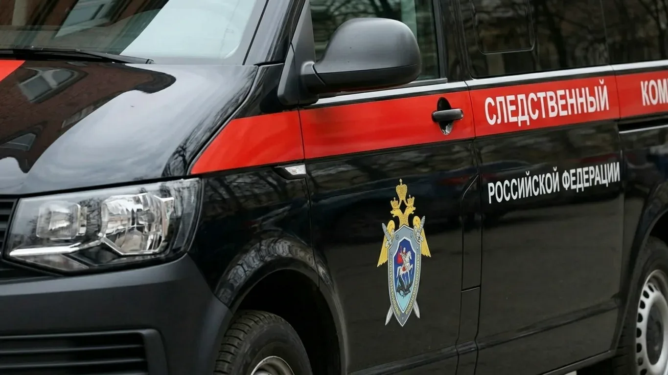 В Тамбове 23-летняя девушка получила 7 лет за убийство сожителя    28 марта 2024 года в квартире на 