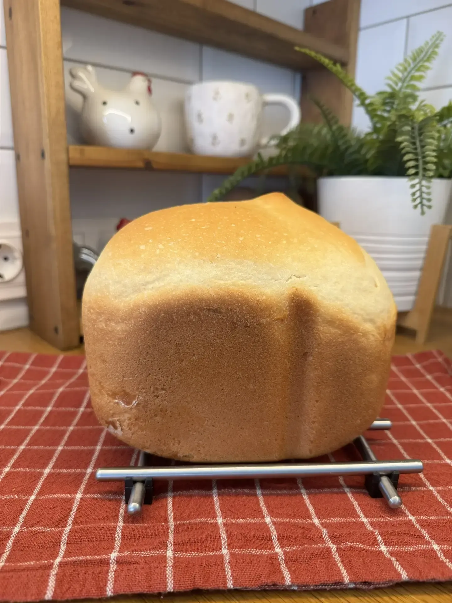 Я тут к вам с вдохновением на приготовление домашнего хлебушка. 🥰🍞  Свою первую хлебопечку я купила 