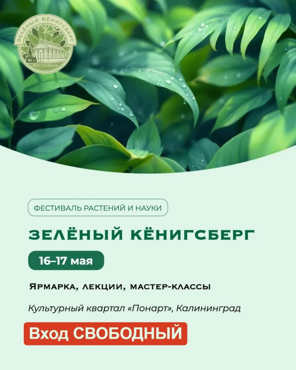 16 и 17 мая, воскресенье 🔔Время начала в 10:00 до 18:00 , культурный квартал «Понарт», ул. Судостро