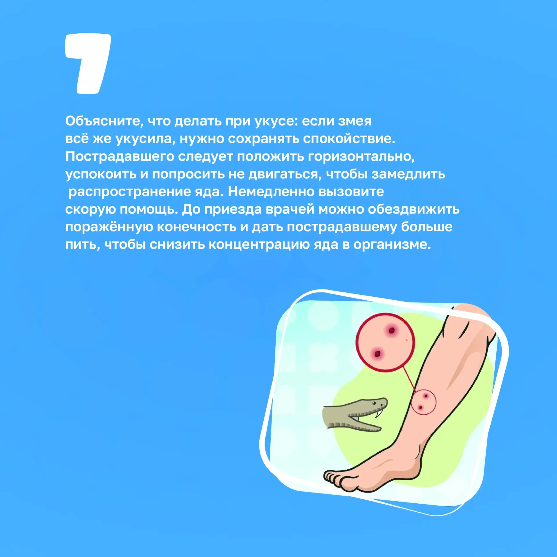 ❗Осторожно, змеи!  Традиционно весной змеи отходят от зимнего сна. Встреча со змеей может произойти 