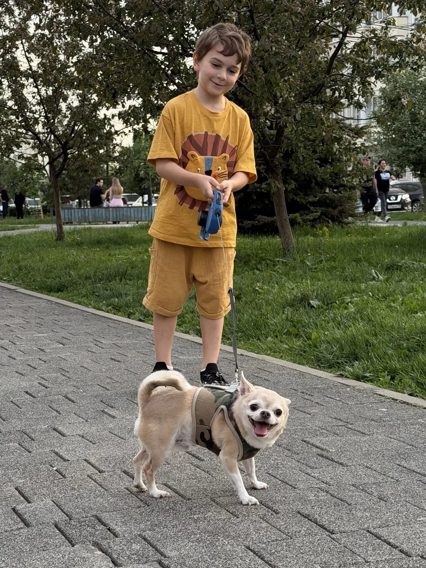 Счастливый пёс на прогулке со своим юным хозяином 🐶❤️ Когда холодно, Макса гулять не заставишь. Зато