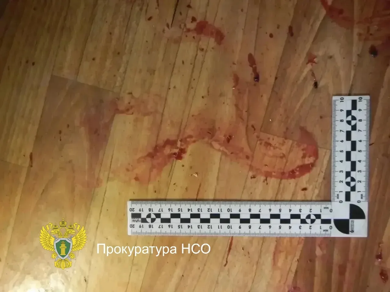 📍Леденящая кровь история: житель НСО убил мужчину, был осужден, отбыл за это наказание, вернулся из 