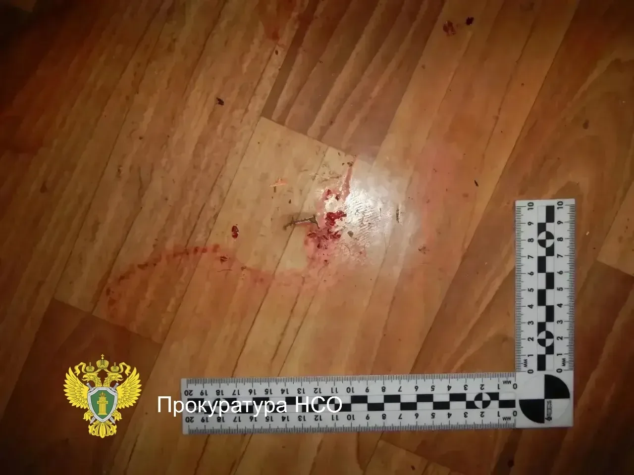 📍Леденящая кровь история: житель НСО убил мужчину, был осужден, отбыл за это наказание, вернулся из 