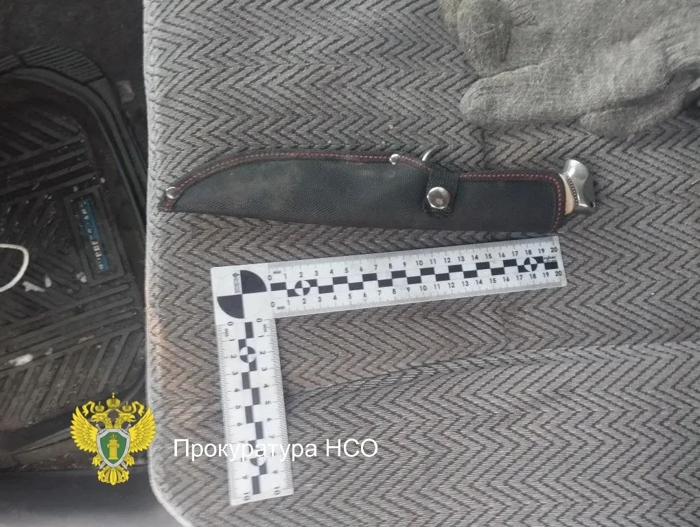 📍Попались с поличным: в Барабинске осудили троих браконьеров за незаконную охоту на  косуль  Барабин