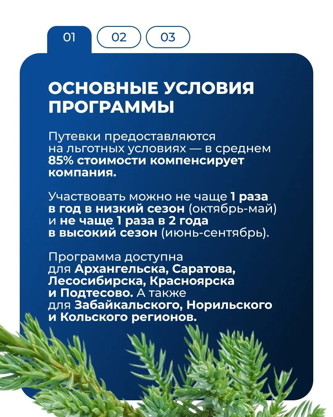🌲 Отдых и оздоровление вместе с «Норникелем»   В компании действует целая система программ, которые 