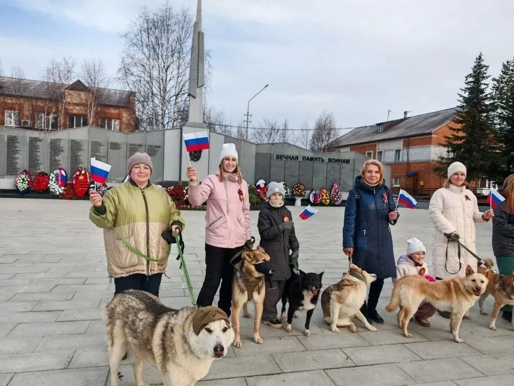 «Главное — чтобы не было войны». Эту фразу нам часто повторяли ветераны. Для нас мир — это спокойный