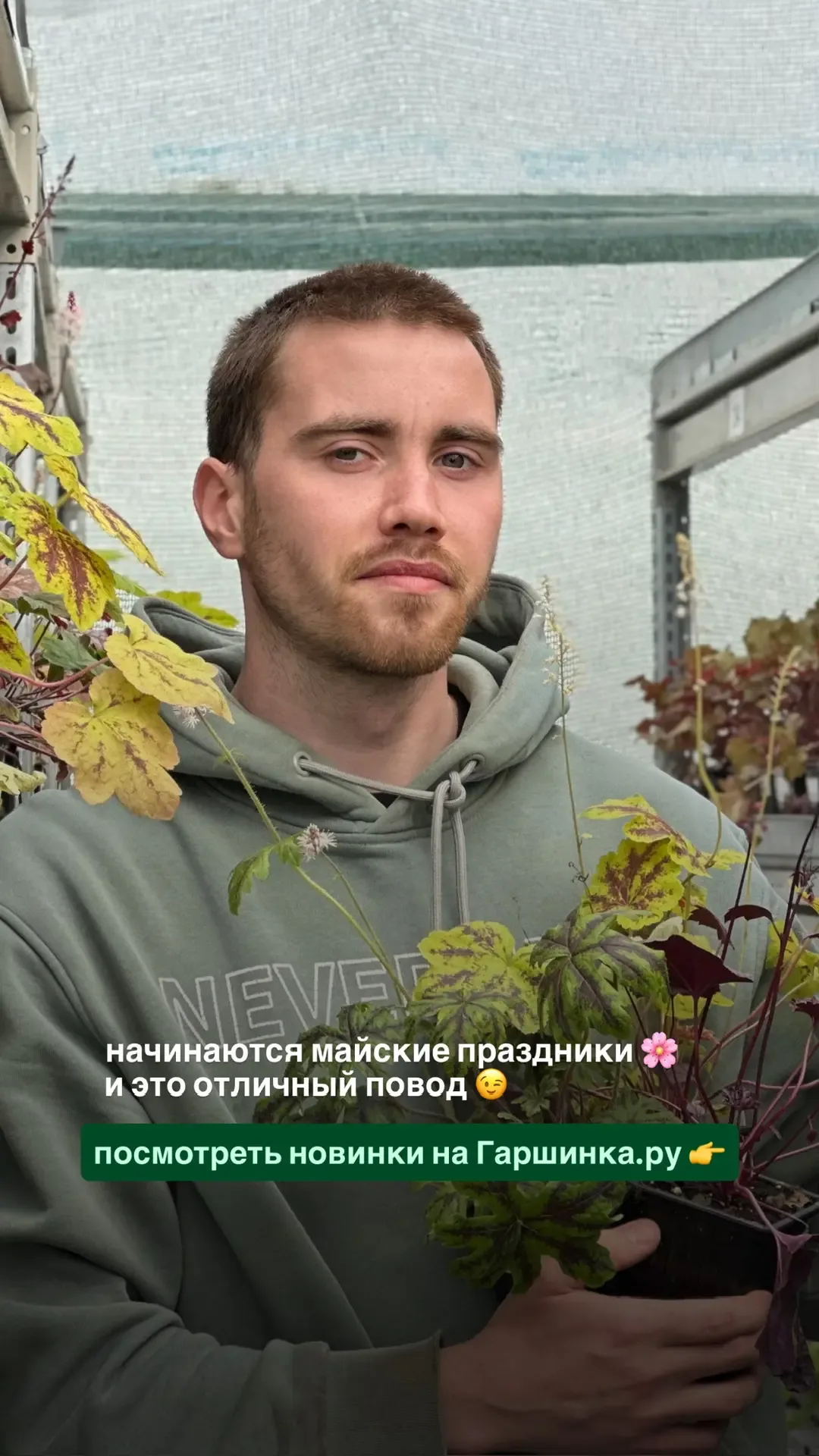 На что потратить 10 000 БОНУСОВ от Гаршинка.ру?  Конечно же на новые растения 🪴 Ссылки для заказа зд