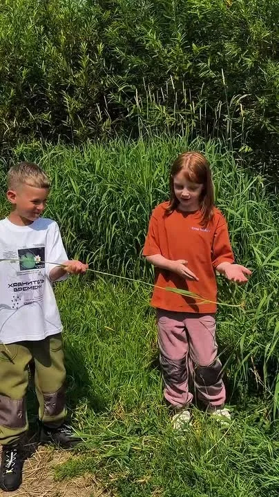 Видео