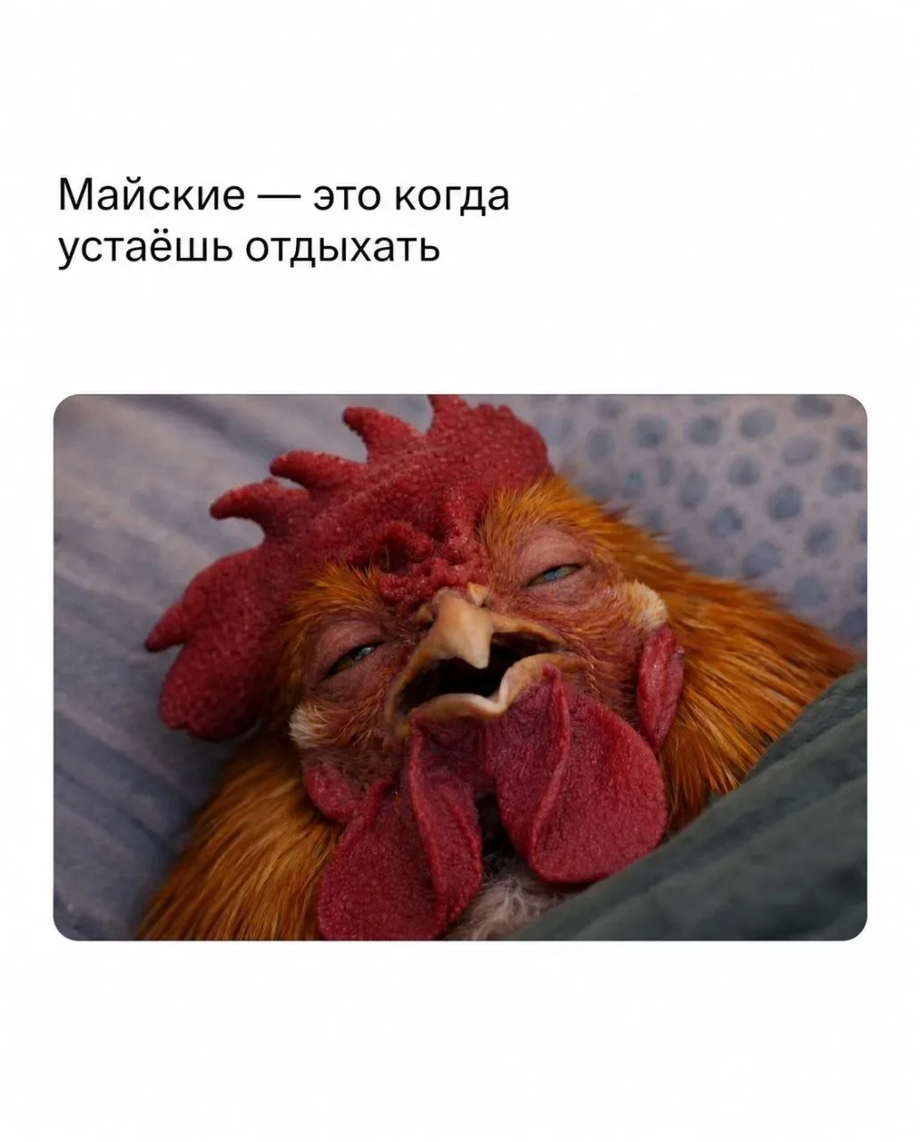 Это я пытаюсь вспомнить какое сегодня число