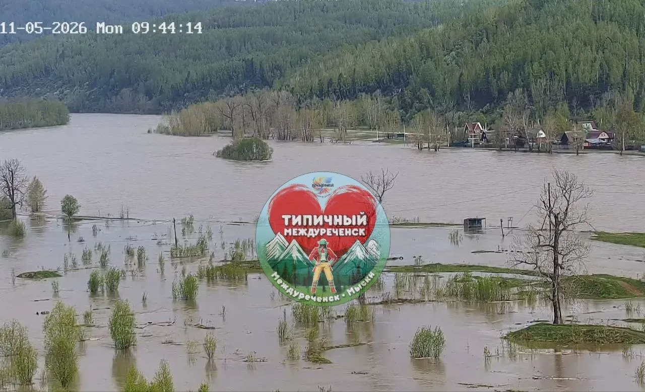 Вода в Томи достигла Критического уровня, уже топит Звёздочку, Камешки, Майзас!  📩 Предложить новост
