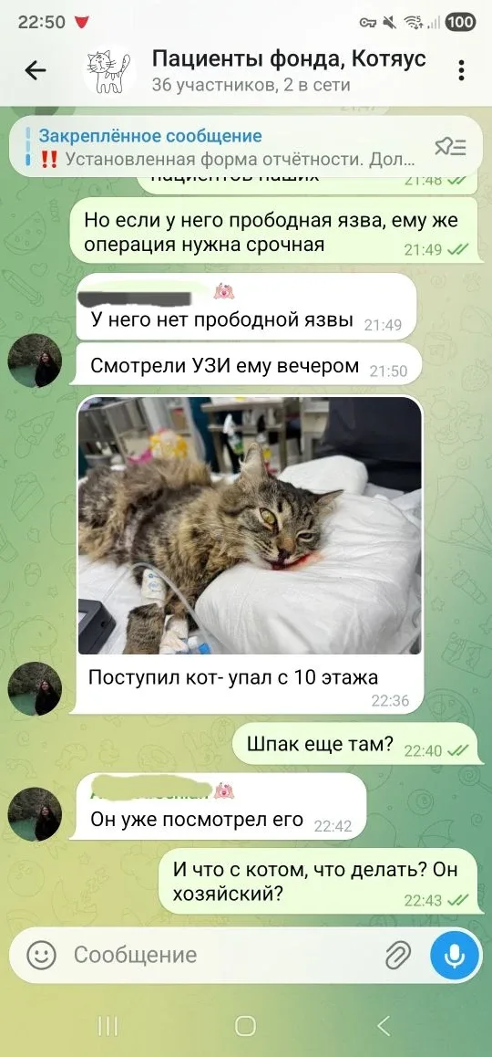 ...................  Помочь по СБП  Подписаться на канал