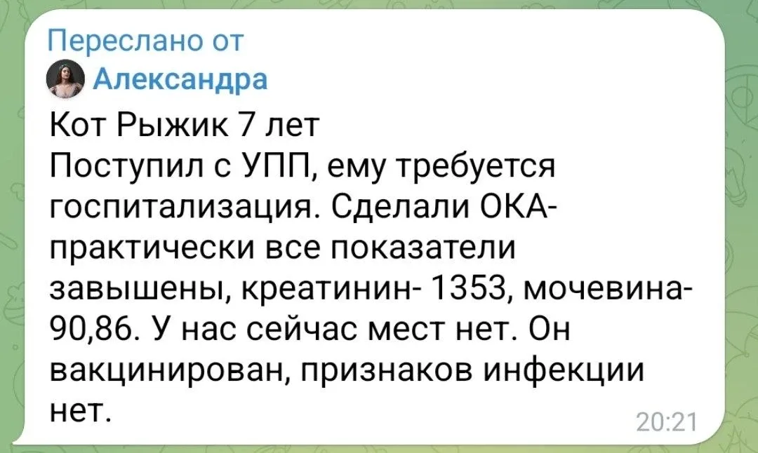 Брэйкин, так сказать, ньюз😔  В Котяусе уже не просто битком, а БИТКОМ. Но Рыжего пришлось оставить, 