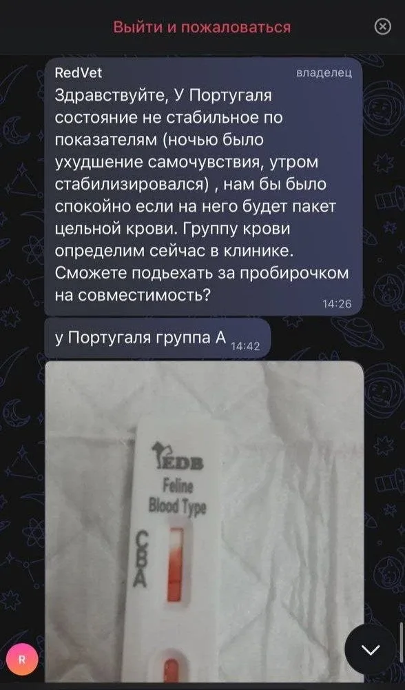 ‼️Для малыша Португаля просят купить кровь.  Друзья, просим помощи любой суммой!  Помочь по СБП  Пом