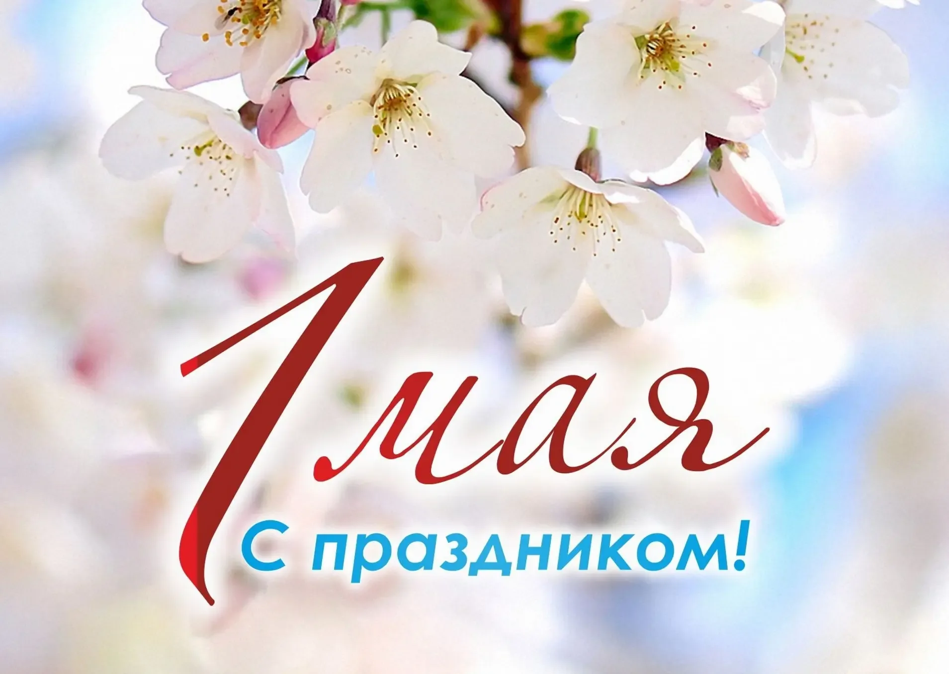 Уважаемые коллеги, дорогие жители и гости нашего региона!  От лица Центра поздравляем вас с 1 Мая — 