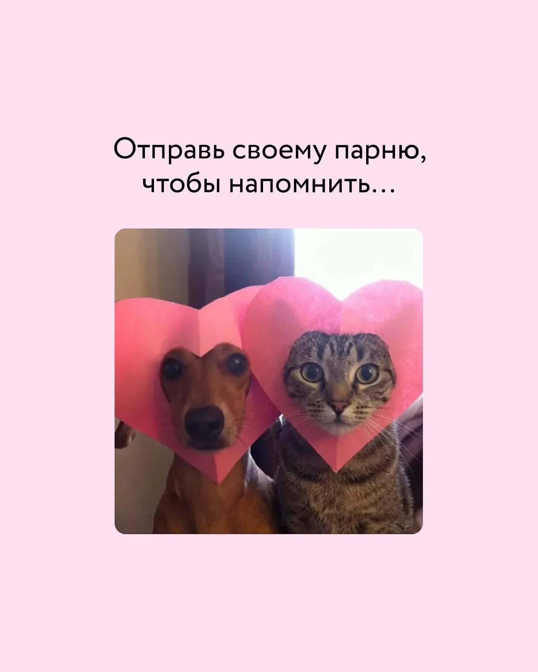 Ты знаешь, кому переслать 😏  Потому что там, где ты — там уют: новый плед, тёплый свет, свеча и дифф