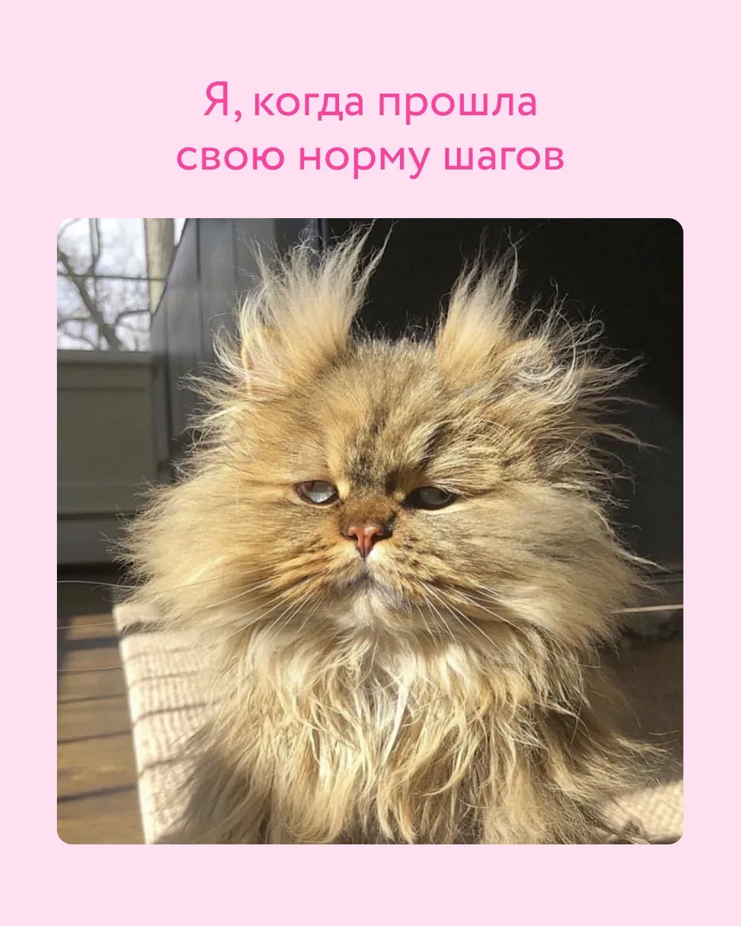 Пока у нас идут закрытые продажи, хотим поболтать 🙂  Пиши в комментариях, без какого бьюти-продукта 