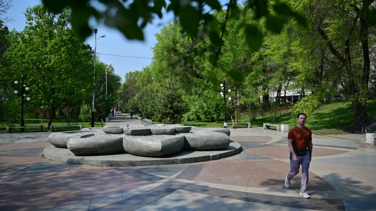 Хабаровчане собирают подписи против вырубки бульвара.   На следующей неделе стартует реконструкция У
