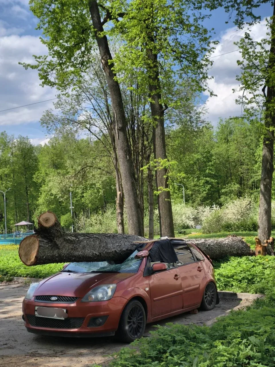 Сегодня в Майданово 😱😱😱