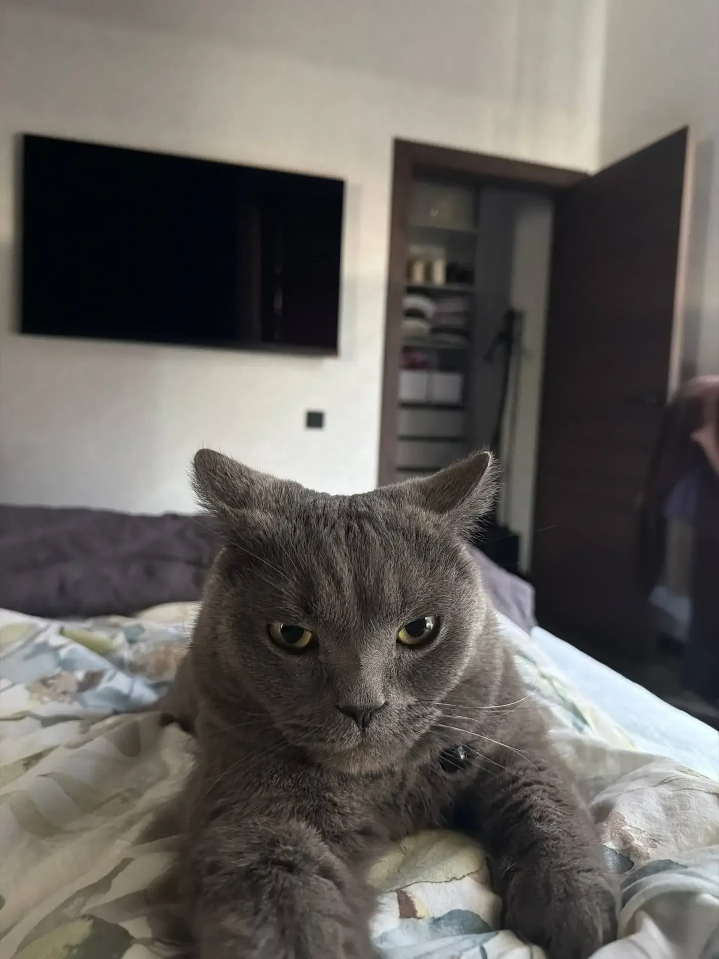 Немного болею, но на связи 🤒   Источник: https://t.me/konovali4group/14979