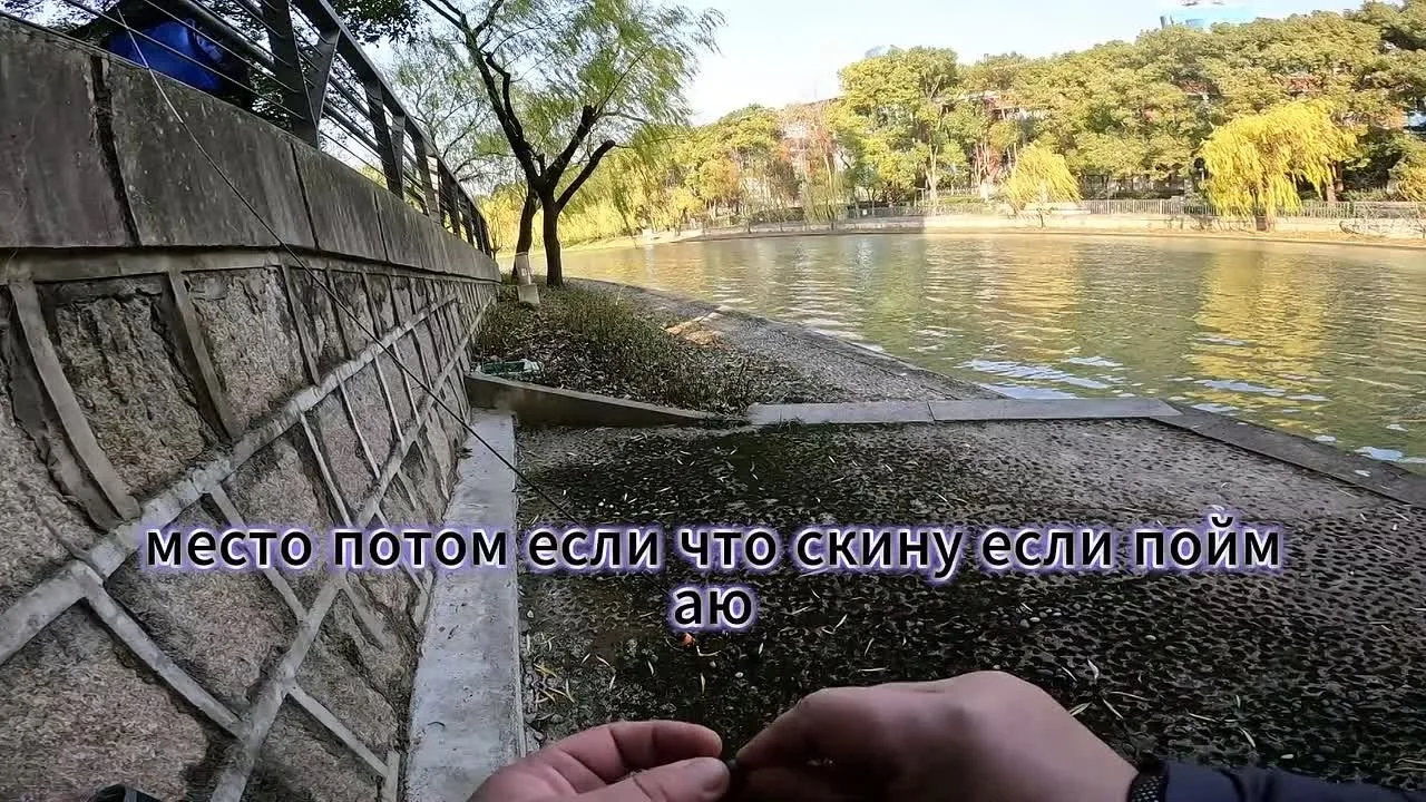 Видео
