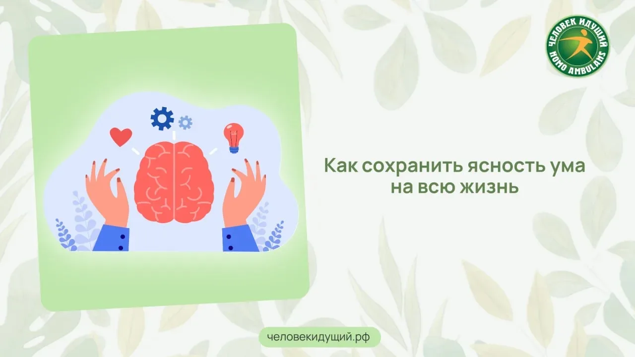 В новом крупном научном обзоре, обобщены факторы, влияющие на работу мозга на протяжении всей жизни.