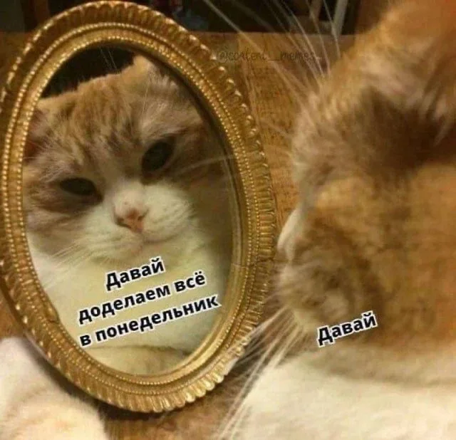 Доброе утро) вайб пятницы примерно такой…)