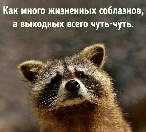 Принесла вам добрых картинок в #добровторник)  Пусть у вас все будет хорошо ♥️