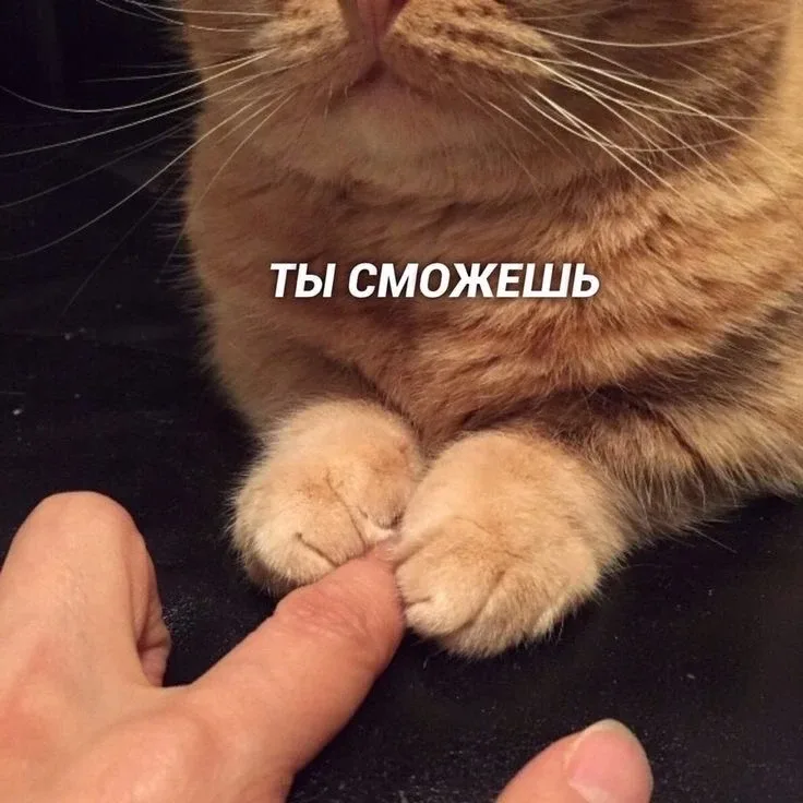 Принесла вам добрых картинок в #добровторник)  Пусть у вас все будет хорошо ♥️