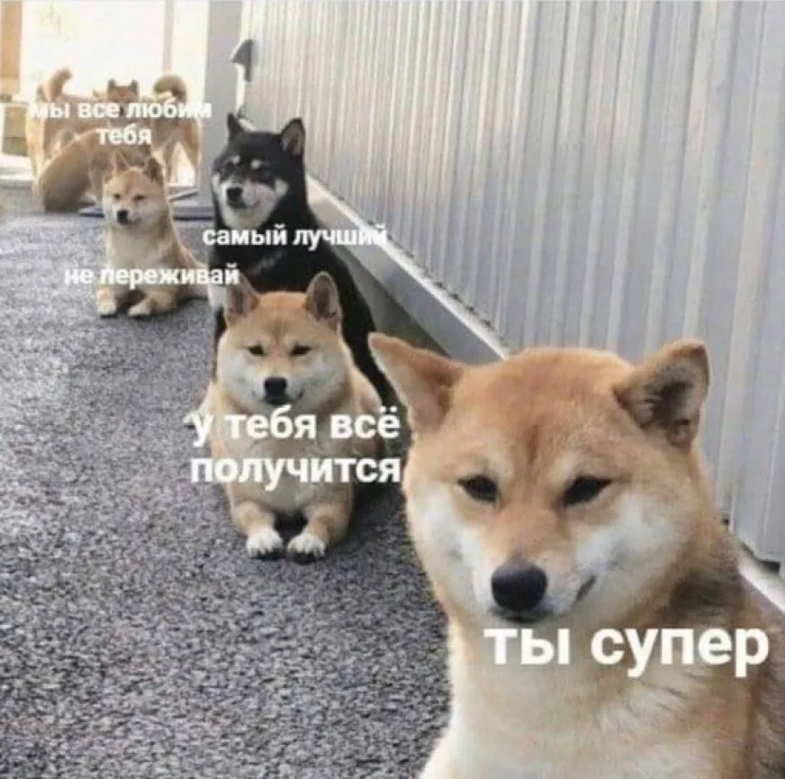 Принесла вам добрых картинок в #добровторник)  Пусть у вас все будет хорошо ♥️