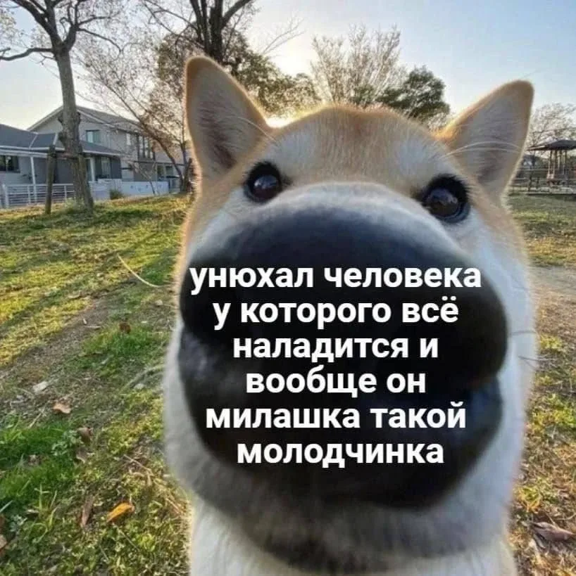 Принесла вам добрых картинок в #добровторник)  Пусть у вас все будет хорошо ♥️
