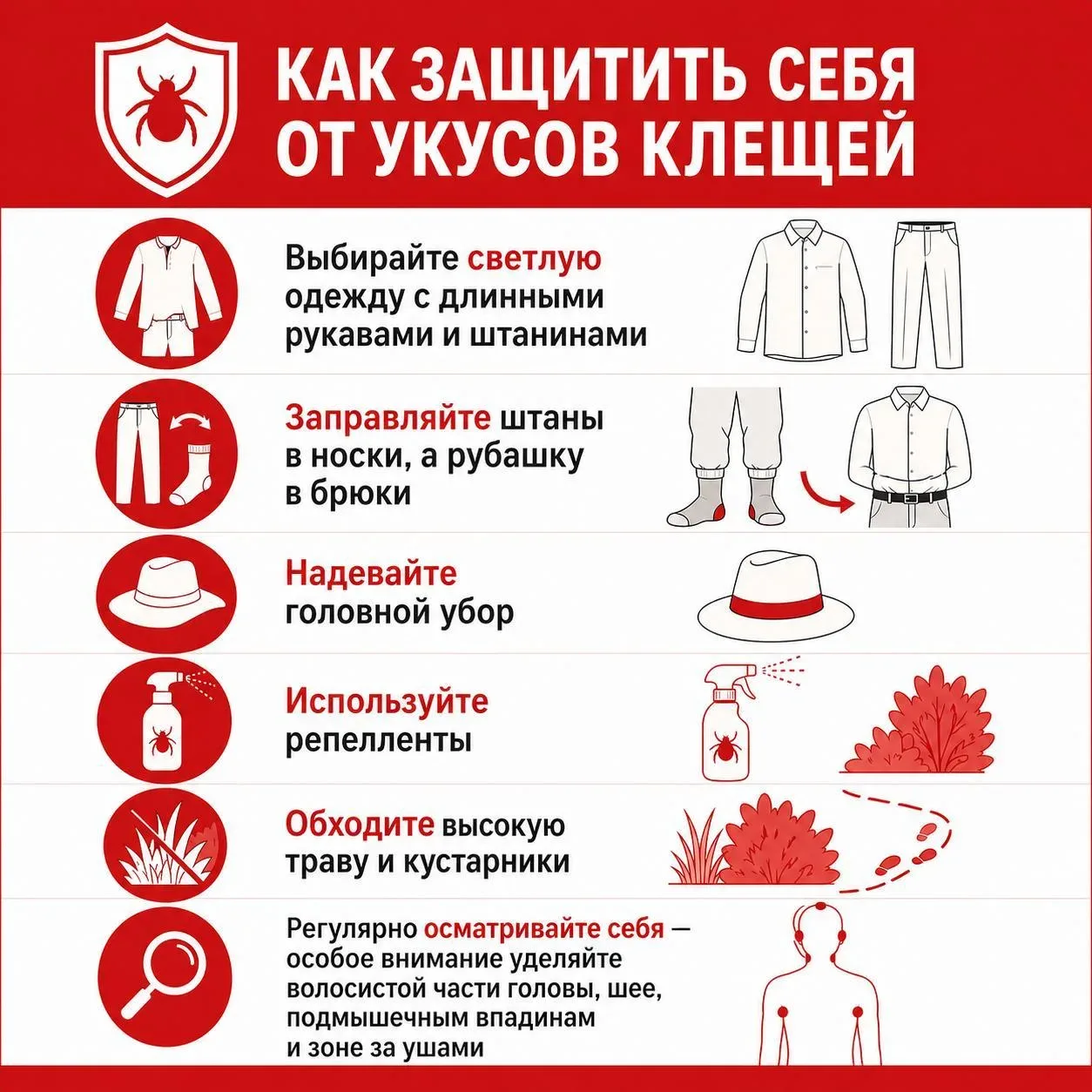 🕷 Напоминание: как избежать укуса клеща, если соберетесь на природу  😀 Подписаться в MAX | Прислать 