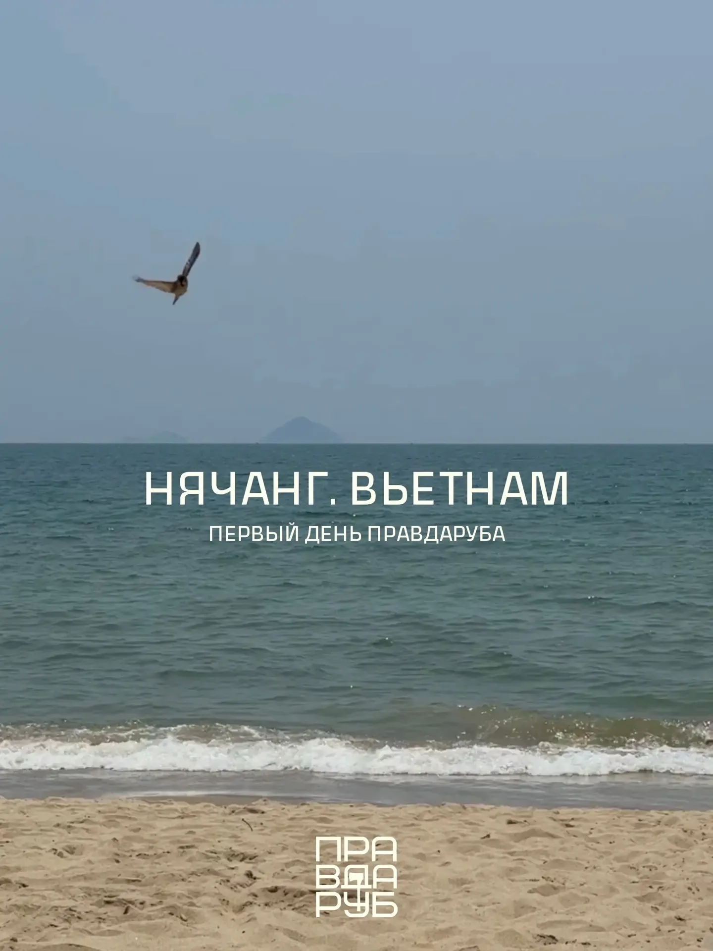 Забыл рассказать!  Самый первый день в Нячанге. Мы приходим на пляж около 8 утра, покупаем шезлонги 