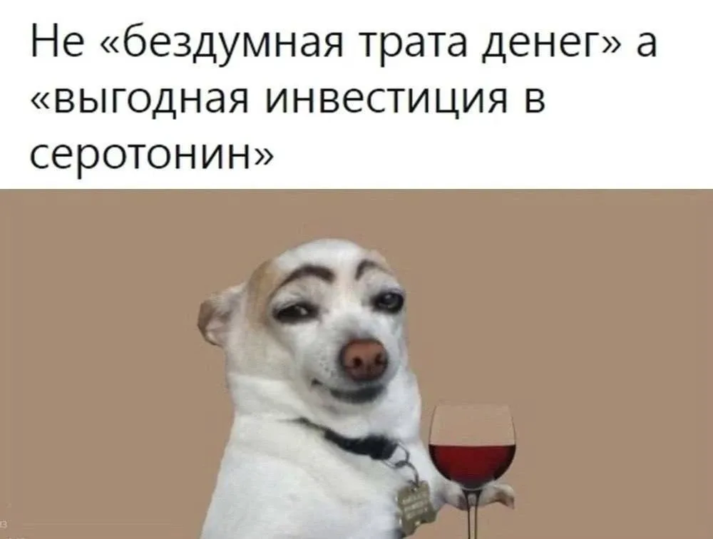 На алое часто делают ставку в косметике, поэтому немного задержусь на этой теме.   🔍INCI: Aloe barba