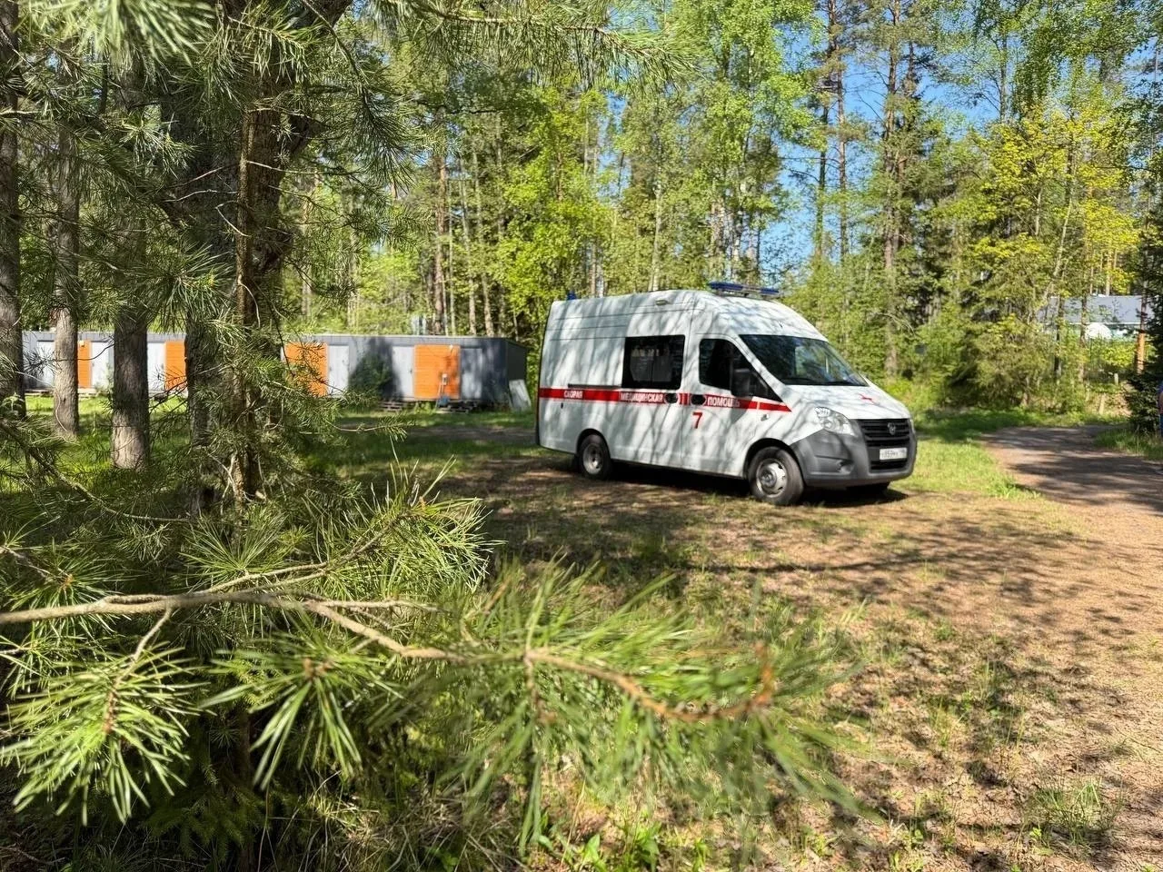 🐍 Гадюки активизировались в Ленобласти: что важно знать    За последние недели скорая помощь Ленингр