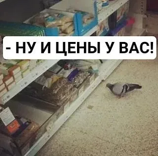 Жители Хабаровского края платят за еду больше москвичей — данные Росстата  Минимальный набор продукт