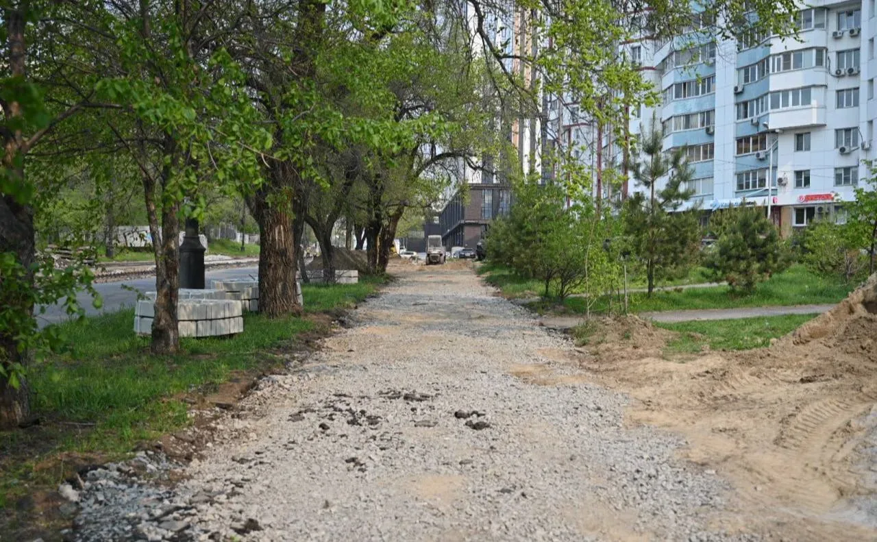 На Шеронова в Хабаровске затянулся ремонт тротуара после вскрытия пешеходной зоны  Жители просят уск
